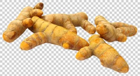 Raw turmeric Stock Photos