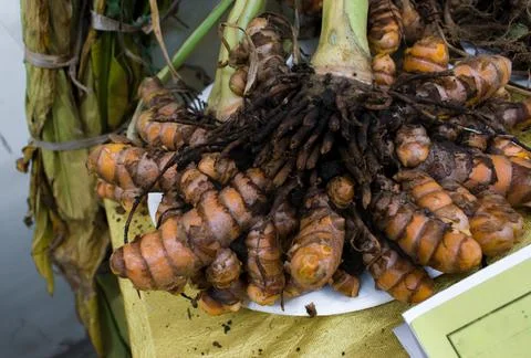 Raw turmeric roots on the table Stock Photos