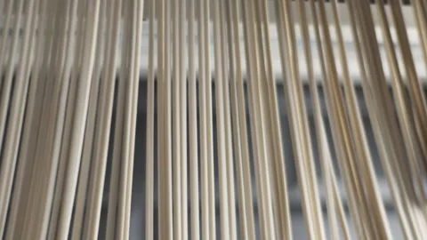 Raw Udon noodles. Stock Footage 140182376