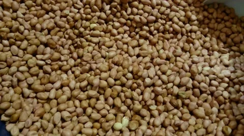 Raw uncooked ground peanut. Close up. Video stock 39621223