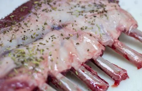 Raw Uncooked Rack of Lamb Stock Photos