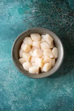 Raw uncooked scallops Stock Photos