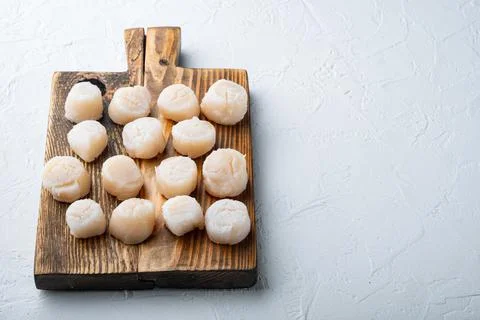 Raw uncooked scallops, on white textured background with space for text Stock Photos