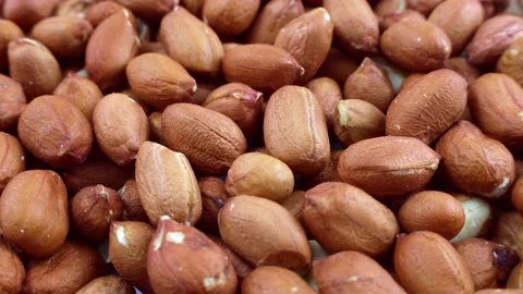 Raw unpeeled peanut nuts circle rotation close up Stock Footage 232681096