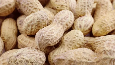 Raw unpeeled peanut nuts in nutshell circle rotation close up Stock Footage 232681075