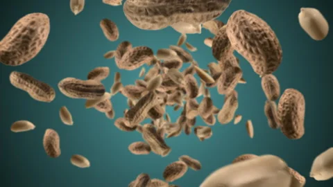 Raw unshelled peanuts chunks exploding and flying in super slow motion. Pieces Stock Footage 271495940