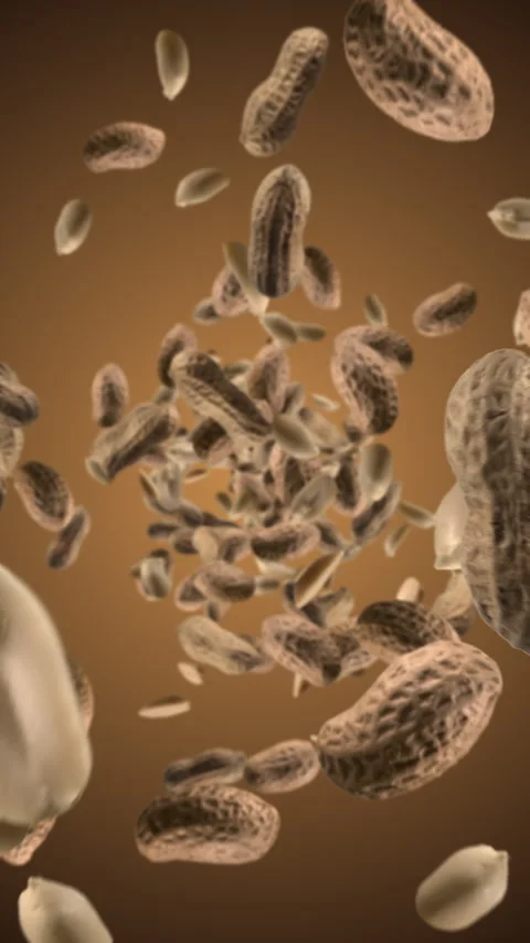 Raw unshelled peanuts chunks exploding and flying in super slow motion. Pieces Stock Footage 278513785
