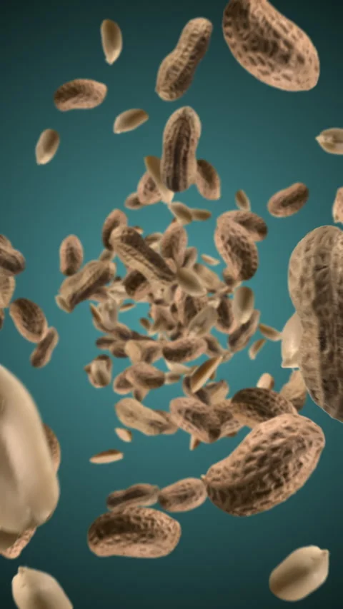 Raw unshelled peanuts chunks exploding and flying in super slow motion. Pieces Stock Footage 281947235