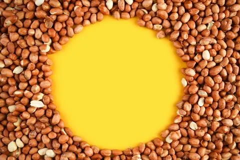 Raw unshelled peanuts with circle shape on yellow background with copy space Stock Photos