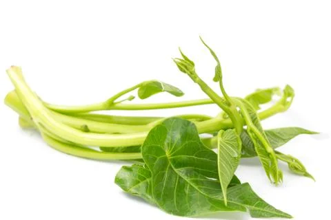 Raw vegetable Stock Photos