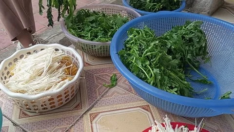 Raw vegetable processing Stock Footage 301315800
