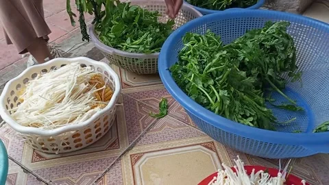 Raw vegetable processing Stock Footage 301315809