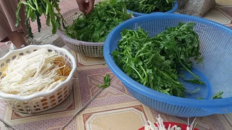 Raw vegetable processing Stock Footage 301315845