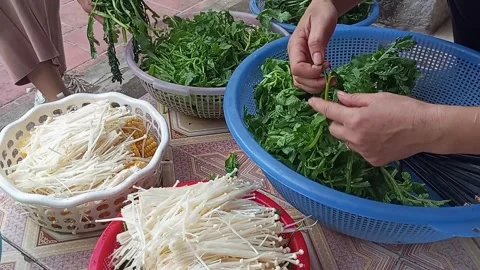 Raw vegetable processing Stock Footage 301315846