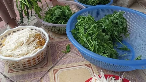 Raw vegetable processing Stock Footage 301315848