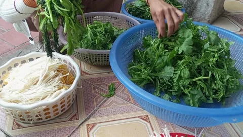 Raw vegetable processing Stock Footage 301315873