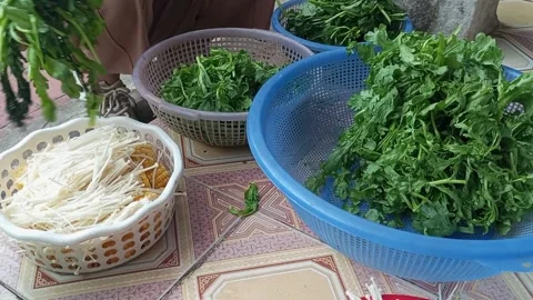 Raw vegetable processing Stock Footage 301315879