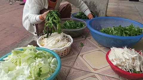 Raw vegetable processing Stock Footage 301315881