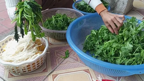Raw vegetable processing Stock Footage 301315884