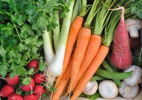 Raw vegetables background Stock Photos