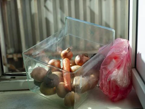 Raw vegetables in a box 写真素材