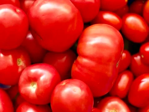Raw vegetables: red tomatoes Stock Photos