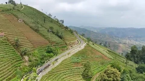 Raw video of natural scenery Stock Footage 277668288