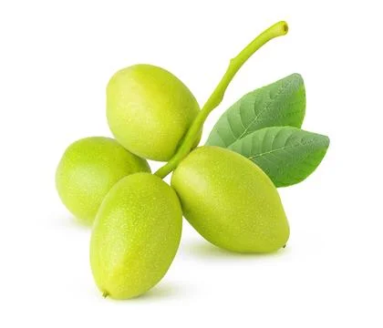Raw walnuts on a stem with leaves, isolated on white background Stock Photos