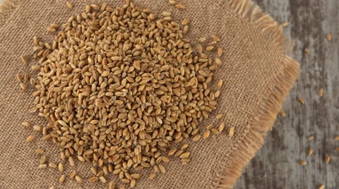 Raw wheat on a burlap rotating. Seamless loopable. 4K Stock Footage 67553704