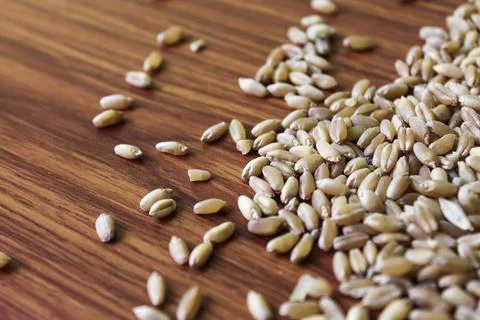 Raw wheat grains seeds Stock Photos