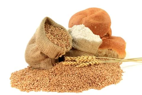 Raw wheat kernels, flour, wheatears and whole wheat buns in burlap bags on wh Stock Photos