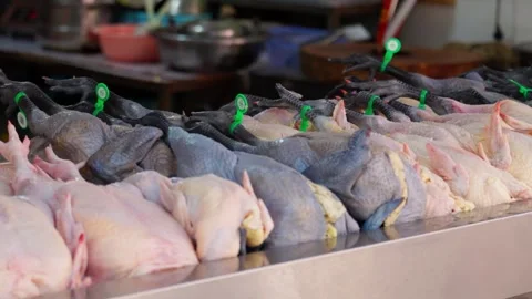 Raw White and Black-Skinned Chickens Displayed at Market Stall Stock Footage 312584706