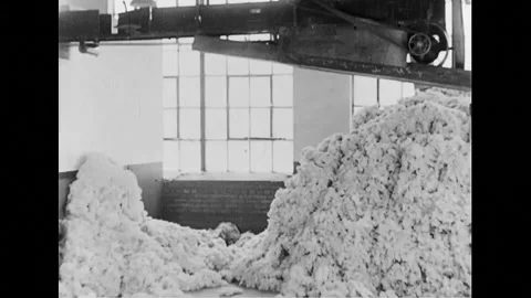 Raw White Cotton Being Processed In Textile Factory Stock Footage 156513658
