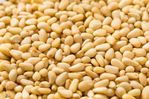 Raw White Organic Pine Nuts Foto stock