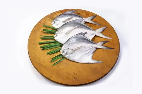 Raw white pomfret Stock Photos