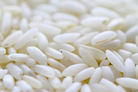 Raw white rice background macro Stock Photos