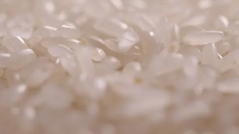 Raw white rice grains falling close up slow motion. Stock Footage 336332685