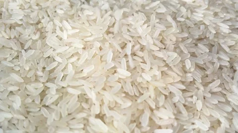 Raw white rice grains falling down Stock Footage 336506951