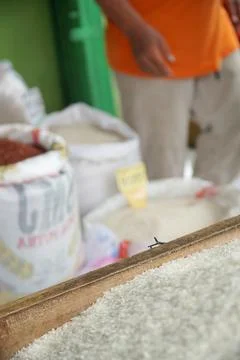 Raw white rice Stock Photos