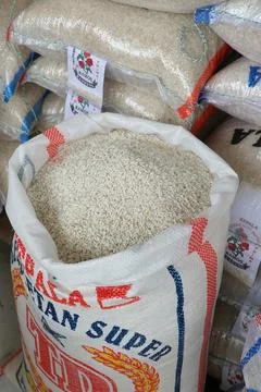 Raw white rice Stock Photos