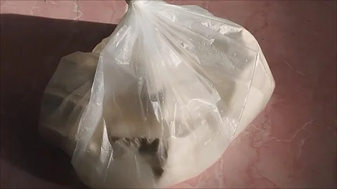 Raw white tofu is in plastic packaging Stock Footage 297027082