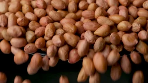 Raw whole dried peanut kernels pour, close-up, slow motion Stock Footage 305830274
