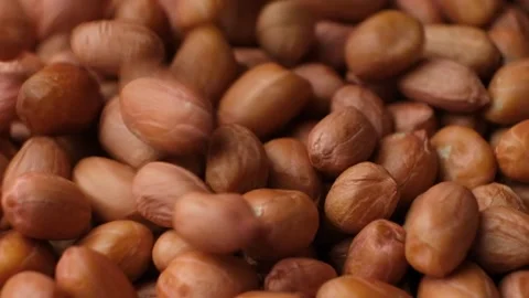 Raw whole dried peanut kernels pour, close-up, slow motion Stock Footage 306055302