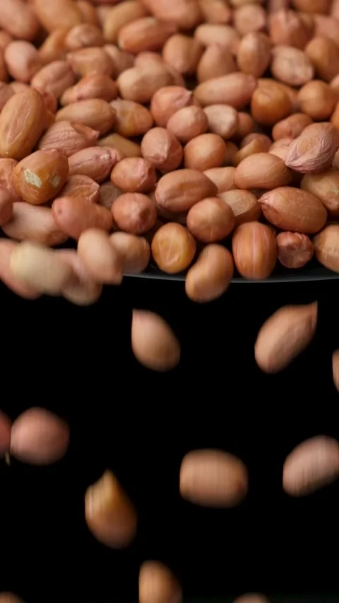 Raw whole dried peanut kernels pour, close-up, vertical slow motion Stock Footage 306055488