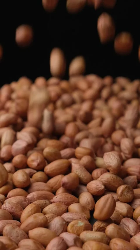 Raw whole dried peanut kernels pour, close-up, vertical slow motion Stock Footage 306055901
