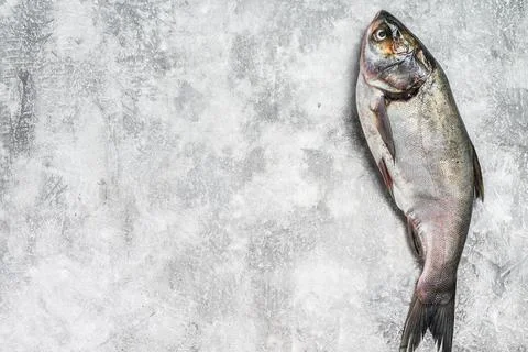 Raw whole fish silver carp. Gray background. Top view. Copy space Stock Photos