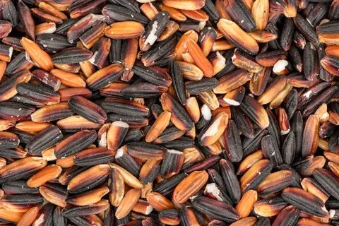 Raw wild rice Stock Photos