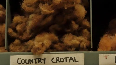 Raw wool samples inside Harris Tweed Mill 스톡 동영상 109071529