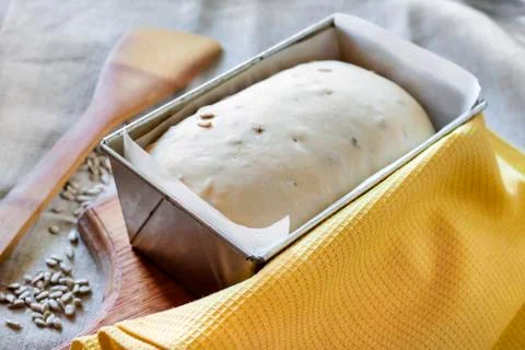 Raw yeast dough in tin form, ready for baking bread with sunflower seeds Stock Photos