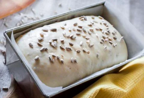 Raw yeast dough in tin form, ready for baking bread with sunflower seeds Stock Photos